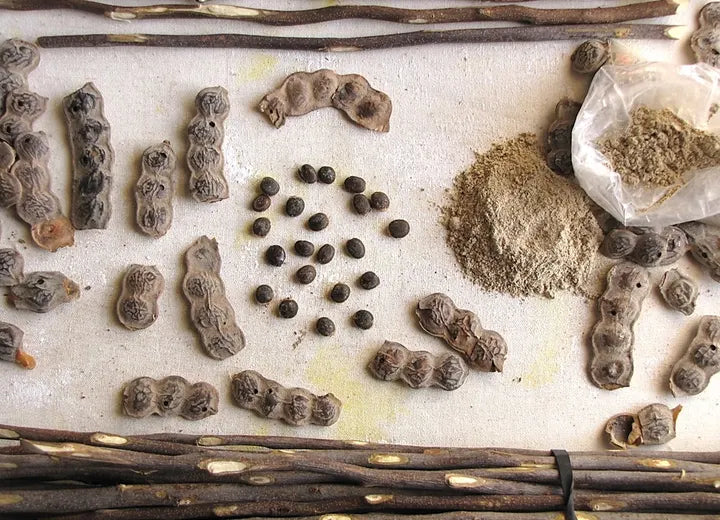 Acacia pods, seeds and powder